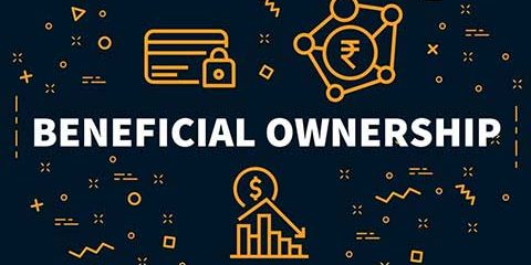 Companies Ultimate Beneficial Owners g kouzalic llc cyprus paralimni larnaca nicosia limassol paphos